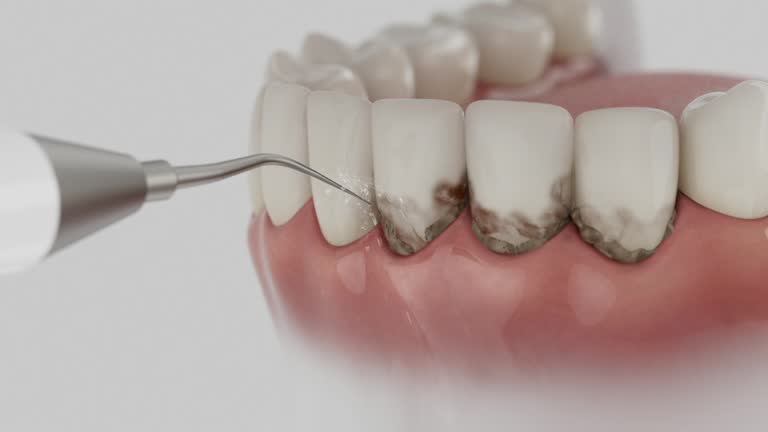 Reliable Dental contractor in Aberdeen, WA by Dentist Open Now
